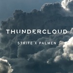 cover: Strife X Palmen - Thundercloud