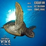 cover: Edgar Vm - Get On Down