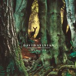 cover: David Sylvian - Manafon