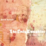 cover: David Sylvian - The Good Son Vs The Only Daughter: The Blemish Remixes