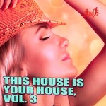 cover: Acid Klowns From Outer Space|Die Fantastische Hubschrauber|Jason Rivas|Klum Baumgartner|Nu Disco Bitches|Old Brick Warehouse|The Minimal Puppets|Veg|Yamato Daka - This House Is Your House Vol 3