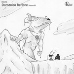 cover: Domenico Raffone - Visione