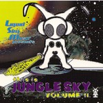 cover: Various - This Is Jungle Sky Vol 2