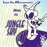 cover: Various - This Is Jungle Sky Vol 1