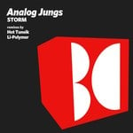 cover: Analog Jungs - Storm