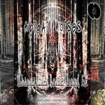 cover: Abigail Noises - Ubiquitous Noise Lord