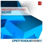 cover: James Kiedis & Peter Steele - Machina