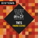 cover: Tnts - Finding Essence