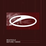 cover: Beatsole - Before I Wake