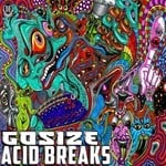 cover: Gosize - Acid Breaks