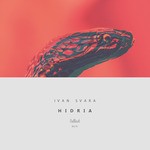 cover: Ivan Svara - Hidria