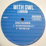 cover: Carlo Caldareri - With Owl