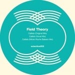 cover: Field Theory - Callisto EP