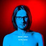 cover: Steven Wilson - To The Bone