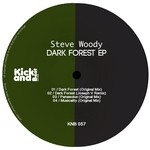 cover: Steve Woody - Dark Forest