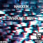 cover: Hakken - What Flow