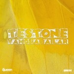 cover: Testone - Vamos A Bailar