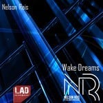 cover: Nelson Reis - Wake Dreams