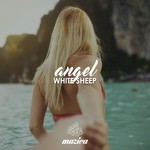 cover: White Sheep - Angel