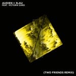 cover: Audien|Victoria Zaro - Hot Water (Two Friends Remix)