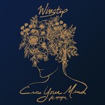 cover: Morgxn|Wingtip - Cross Your Mind (Explicit)