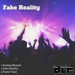 cover: Soundman & Mark D - Fake Reality