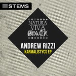 cover: Andrew Rizzi - Karmalistycs EP