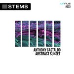 cover: Anthony Castaldo - Abstract Sunset