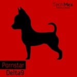 cover: Delta9 - Pornstar