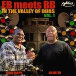 cover: Errol Brown & Bb Seaton - EB Meets BB In The Valley Of Dubs Vol 1