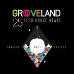 cover: Various - Grooveland (25 Tech House Beats) Vol 1