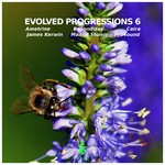 cover: Ametrine|Beyondway|Caira|James Kerwin|Maxim Stonor|Pro4ound - Evolved Progressions 6