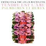 cover: Francois & The Atlas Mountains - Tendre Est L'Ame