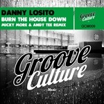 cover: Danny Losito - Burn The House Down