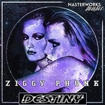 cover: Ziggy Phunk - Destiny