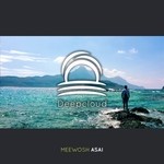 cover: Meewosh - Asai