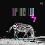 cover: Various - Funky House Town Vol 2