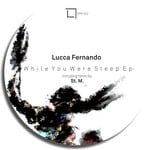 cover: Lucca Fernando - While You Were Sleep