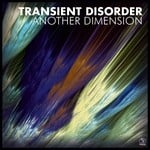 cover: Transient Disorder - Another Dimension