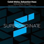 cover: Caleb Weiss|Sebastian Haas - Walking Towns (Remix Edition)