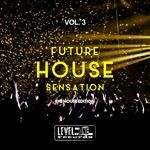 cover: Various - Future House Sensation Vol 3 (The House Edition)