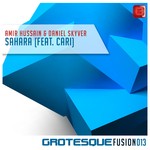 cover: Amir Hussain & Daniel Skyver|Cari - Sahara