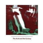 cover: Dylab - The Acid & The Ecstacy