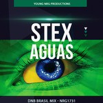 cover: Stex - Aguas