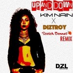 cover: Diztroy|Kim Nain - Up & Down