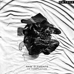 cover: Various - Raw Elements