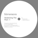 cover: Steve Bicknell - Awakening The Past