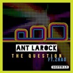 cover: Ant Larock|Zhao - The Question