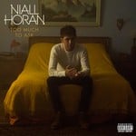 cover: Niall Horan - Too Much To Ask (Explicit)