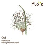 cover: Groj - Light Years